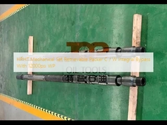12000psi WP সহ HPHT মেকানিক্যাল সেট পুনরুদ্ধারযোগ্য প্যাকার C/W ইন্টিগ্রাল বাইপাস
